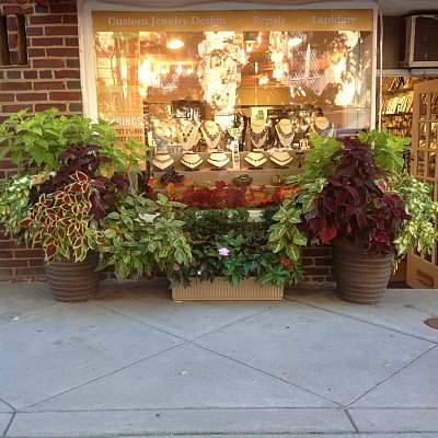 Tomorrow's Heirlooms - Princeton |  | Logo