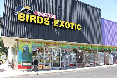 Todd Marcus Birds Exotic - Delran Township |  | Logo