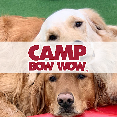 Camp Bow Wow - Cherry Hill | Pets | Logo