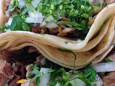 Taqueria El Maguey - Philadelphia |  | Logo