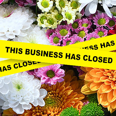 Asters Floral Shop - Collingswood | Retail | Logo