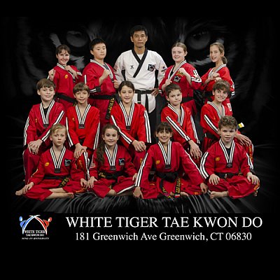 White Tiger Tae Kwon Do - Greenwich | Health & Fitness | Logo