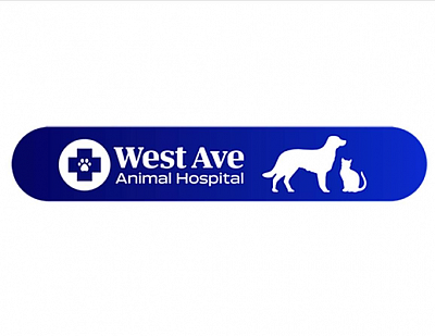 West Ave Animal Hospital - Boynton Beach | Professional Services | Logo