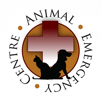 TrueCare for Pets - Studio City | Professional Services | Logo