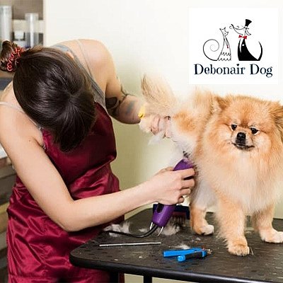 Debonair Dog  - Haddonfield | Pets | Logo