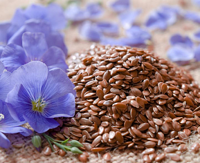 Hallsseed LLC - Arlington | House & Garden | Logo