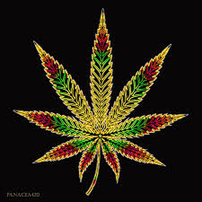 Strains4us - Spring | Health & Medical | Logo