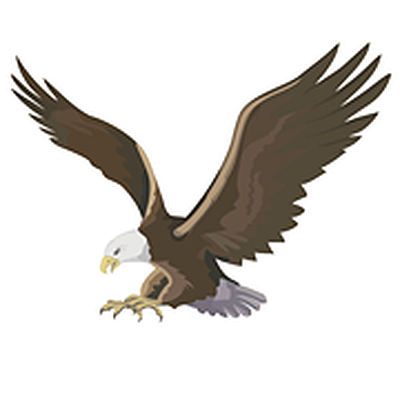 American Flyers - Scottsdale | Hotels & Travel | Logo
