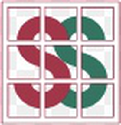 Palm Valley Storage Solutions - Goodyear | Home Services | Logo