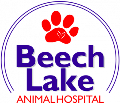 Beech Lake Animal Hospital - Lexington | Pets | Logo