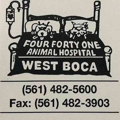 441 Animal Hospital - Boca Raton | Professional Services | Logo