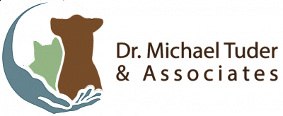 Downtown Veterinary Associates - Jersey City | Pets | Logo