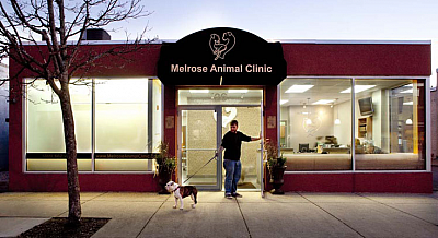 Melrose Animal Clinic - Melrose | Health & Medical | Logo