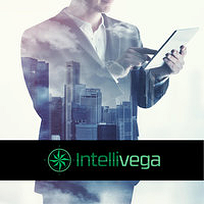 Intellivega - San Angelo | B2B Services | Logo