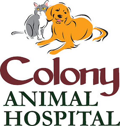 Colony Animal Hospital - Newport News | Professional Services | Logo