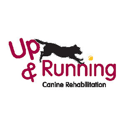 Up & Running Canine Rehabilitation - Avon Lake | Professional Services | Logo