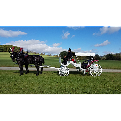 Horsing Round Carriage Service - Dunbar | Hotels & Travel | Logo