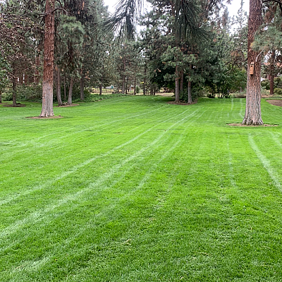 Flora Landscape Service - Los Angeles | House & Garden | Logo