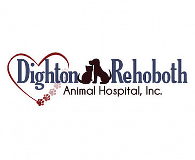 Dighton Rehoboth Animal Hospital, Inc - North Dighton | Professional Services | Logo