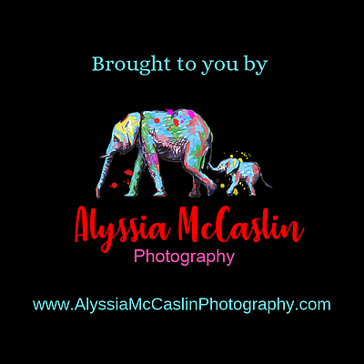 Alyssia McCaslin Photography - Bel Air | Professional Services | Logo