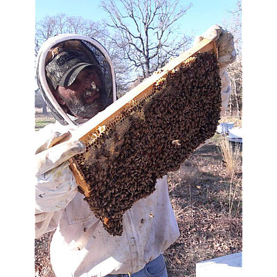 Brown's Bee Removal & Apiary - whitney | Local Services | Logo