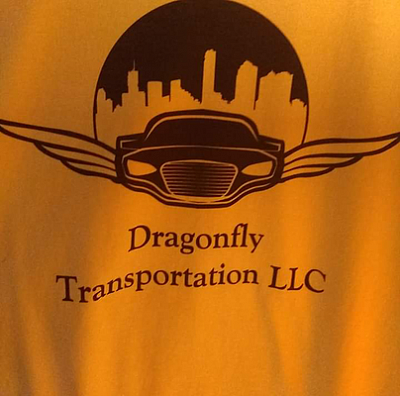 Dragonfly Transportation LLC - Geneva | Hotels & Travel | Logo