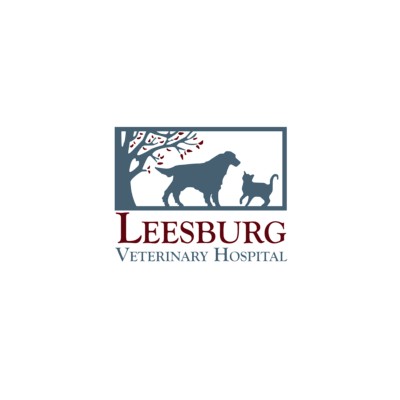 Vision Pet Imaging & Illumipet - Seattle | Professional Services | Logo