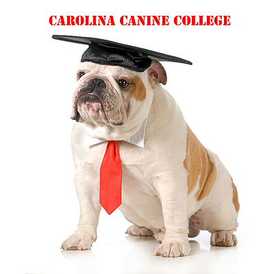 Carolina Canine College - Myrtle Beach | Pets | Logo