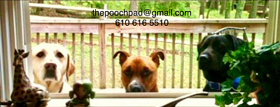 The Pooch Pad-Luxury Dog Boarding - Newtown Square | Pets | Logo