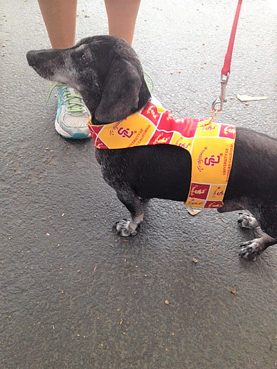 Mimi's Pet Harnesses - Beaumont | Pets | Logo