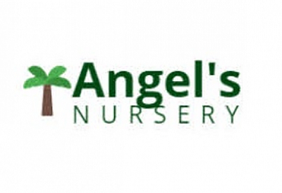 Angel's Nursery - Naples | Classes & Lessons | Logo