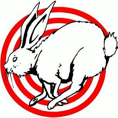 The Rabbit Hole - Bay City | Health & Fitness | Logo