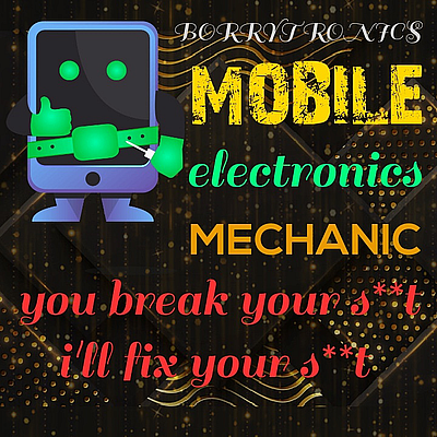 BORRYTRONICS - willis | Electronics & Wireless | Logo