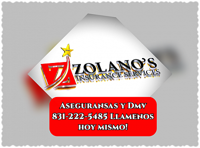 Zolano’s Insurance Services - Hollister | Professional Services | Logo