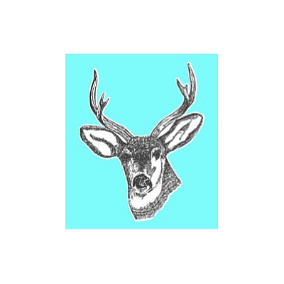 Deerhorn Valley Vineyards - Jamul | Wines & Liquor | Logo
