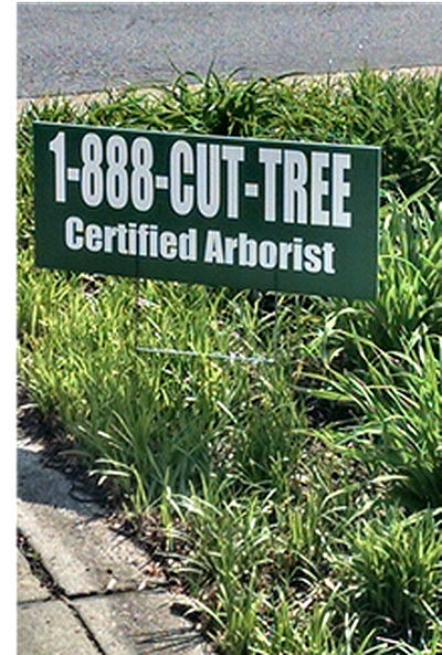 1-888-CUT-TREE Tampa Bay - Clearwater | Local Services | Logo