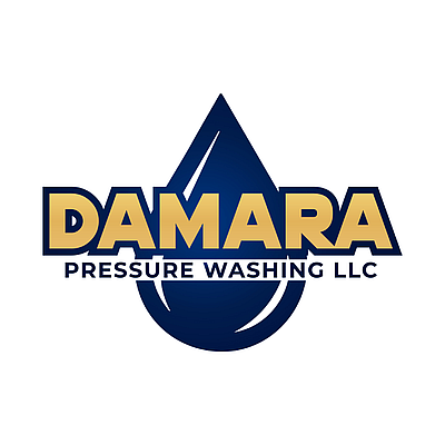 Damara Pressure Washing - Roselle | Marketing & Media | Logo