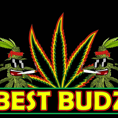 Best Budz - Hogansburg | Health & Medical | Logo