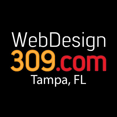 WebDesign309.com - Wesley Chapel | Marketing & Media | Logo