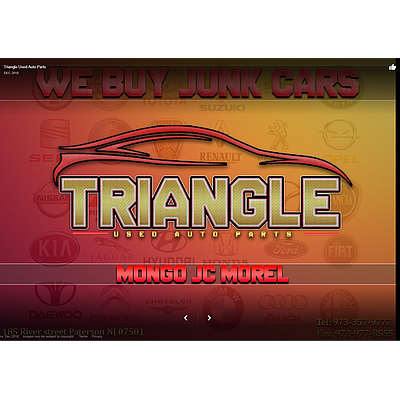 Triangle Used Auto Parts - Paterson | Automotive Services | Logo