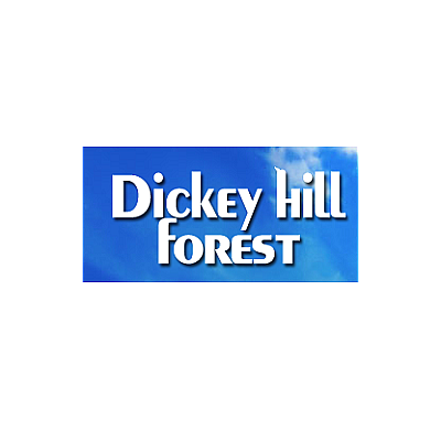 Dickey Hill Forest Apartments - Baltimore | Apartments & Rentals | Logo