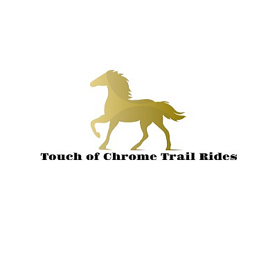 Touch of Chrome Trail Rides - Crowley | Attractions | Logo