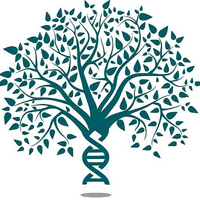 DNA Vaping Lounge Sarasota - Sarasota | Retail | Logo